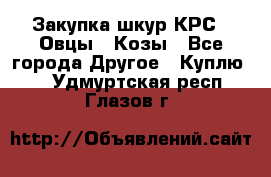 Закупка шкур КРС , Овцы , Козы - Все города Другое » Куплю   . Удмуртская респ.,Глазов г.